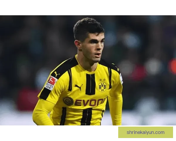 德甲豪门再次出击，迎来顶级球员增强实力，竞争力提升。